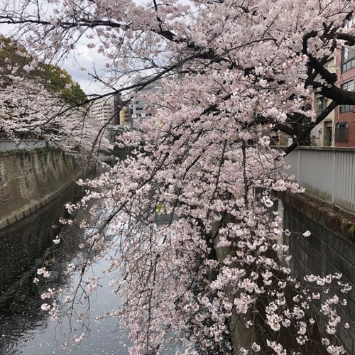 14ECCD70-4887-4ABA-8D24-BC2CEAF00EAE