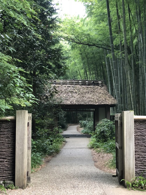 FBB9355F-9D62-46E6-9A48-1F522F3993E5