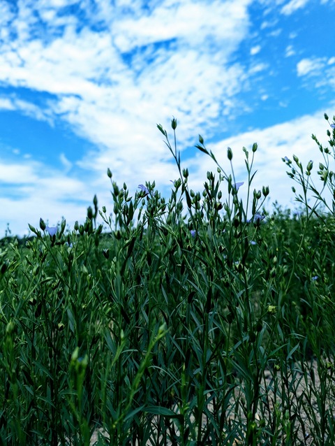 PXL_20250706_025119016~2
