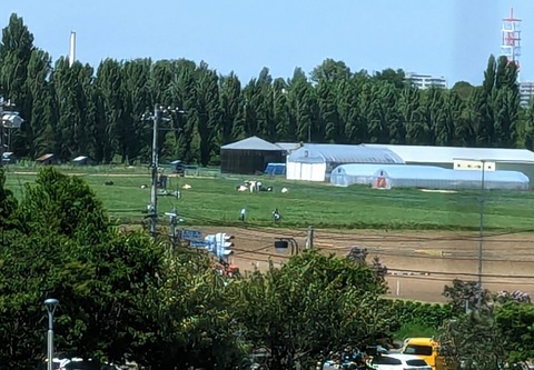 PXL_20240522_041005573~2