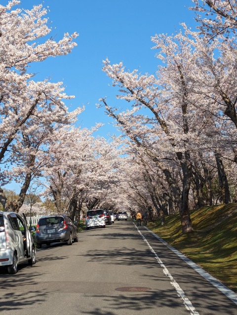 PXL_20240501_064139249