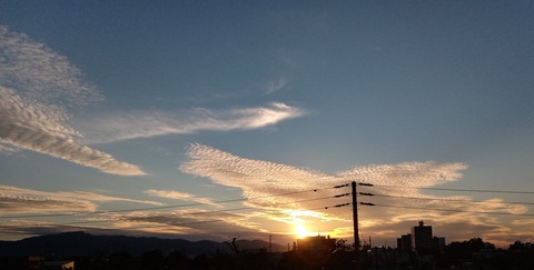 20210920_171758_HDR