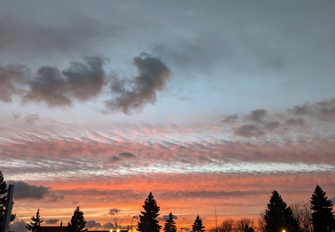 PXL_20240409_091354119~4