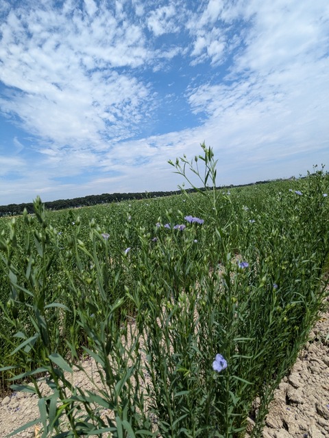 PXL_20250706_025344996