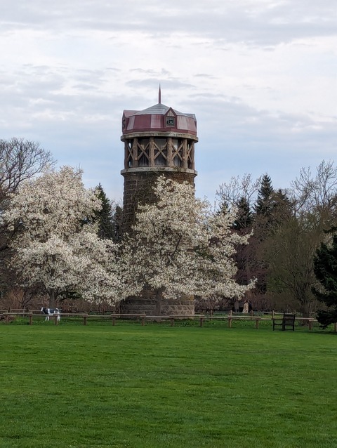 PXL_20240428_075836451