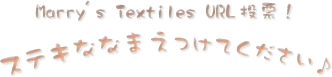 投票