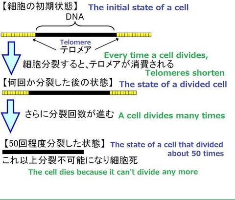 12987179_537611069743482_422432619983878921_n