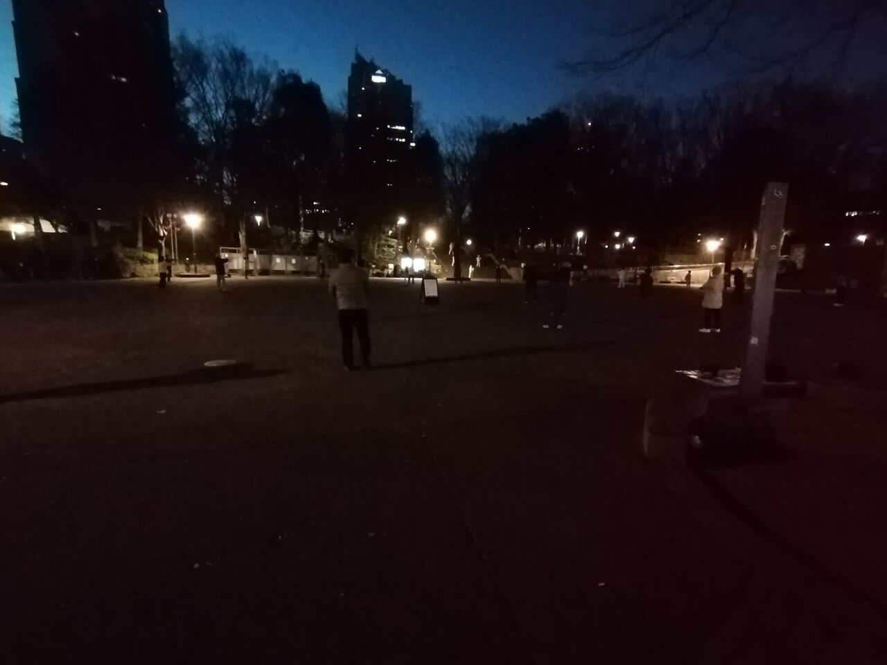 新宿中央公園の朝 マーサ リノイエ 新宿中央公園の朝 マーサ リノイエ
