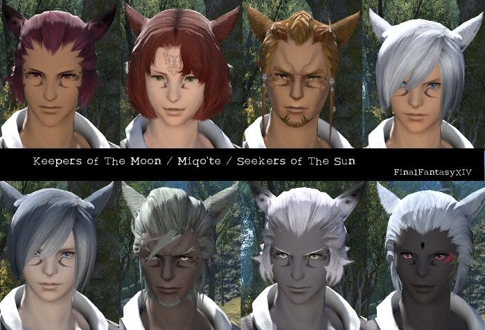 キャラメイクであそぶ ミコッテ Martielriesling Masamune Lodestone