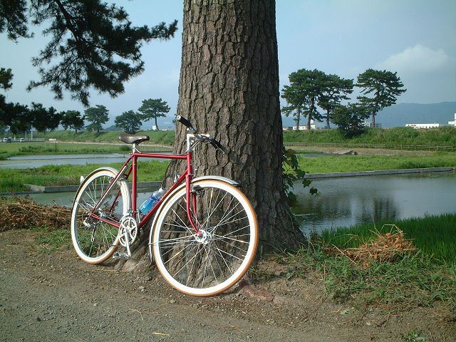 たまにはランドナー。 : 中年martyの自転車日記