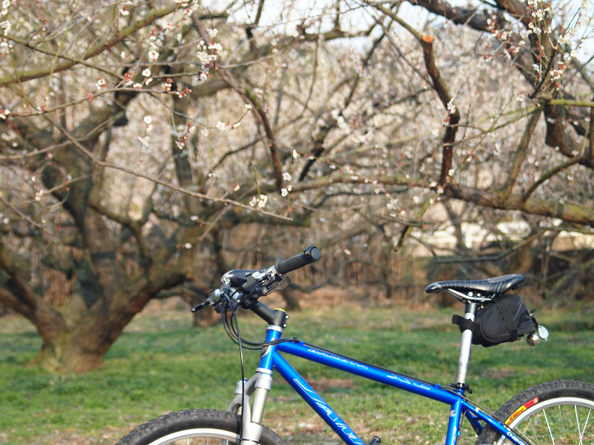 JAMIS dakota XC 27速 マウンテンバイク CT17インチ 2004モデル