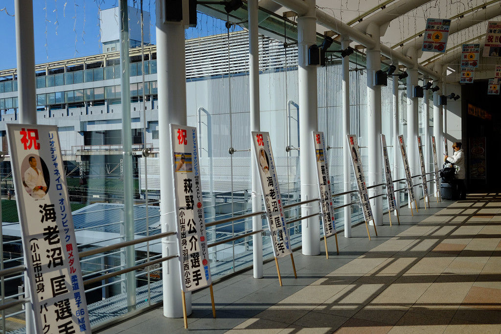 休日おでかけパス で北関東を乗り鉄 中年martyの自転車日記