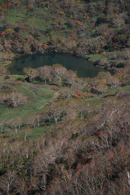 2019nasu0022