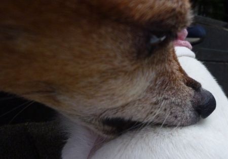 そろそろ終わりにしませんか？