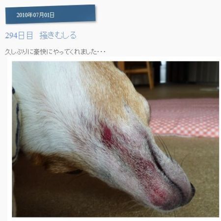 かなりひどいです