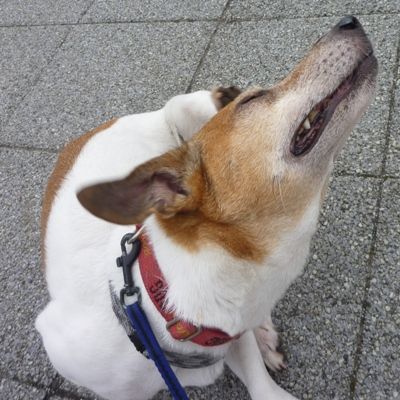 何でまたそんな苦しそうな体勢で・・・