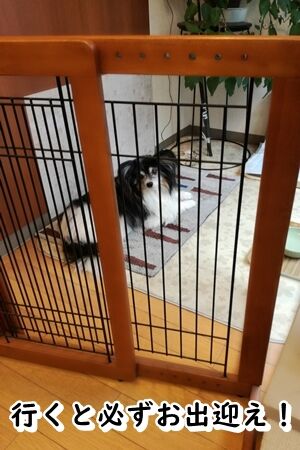 元気〜?