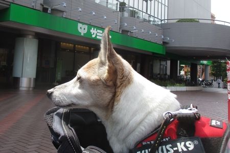 買ったるでぇ