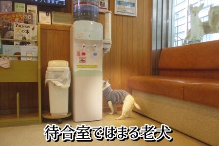 じっとしてらんない
