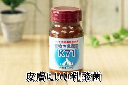 ニューサンキン