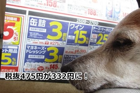 上には上!
