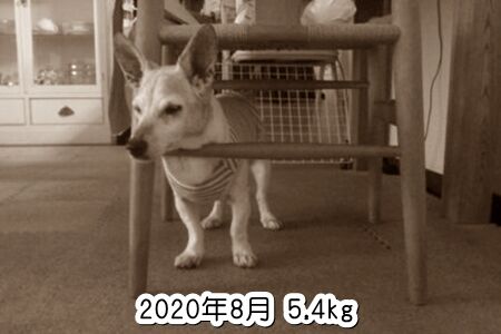 ÈÕǯ¤Ï¾¯¡Á¤·¤º¤Ä
