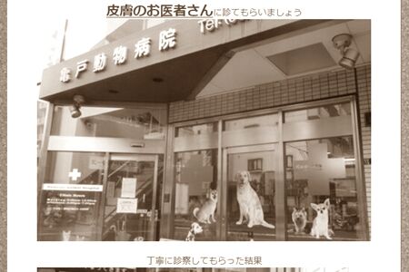 主治医んとこは
