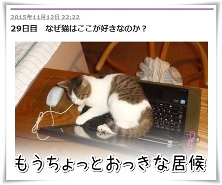 はなちゃん