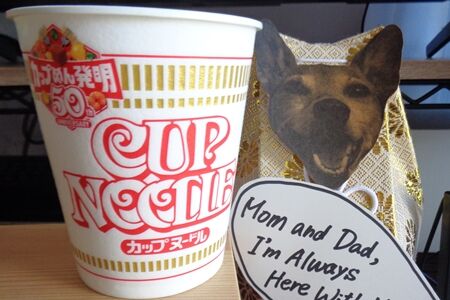 カップヌードゥル