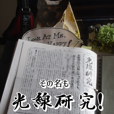 熱心にお勉強(笑)