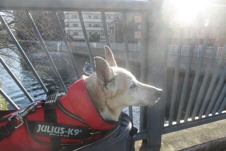 最高気温18℃!