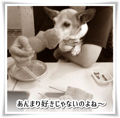 串カツ田中
