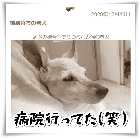 ·ì±Õ¸¡ºº¤Î·ë²ÌÂÔ¤Á