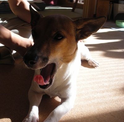 ���Ф���ͤϤ�������ɡ� �ϡ��Ǥʥ������餿�ޤˤ�����