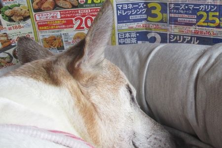 諦めない心