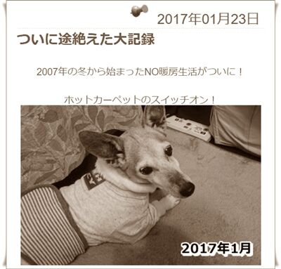何だったんだろ?(笑)