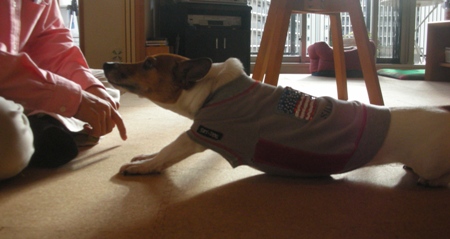 ��ǯ�⤪���äˤʤ�ޤ���