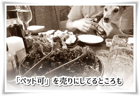 The Oyster Mans