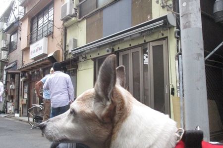 シャチョートージョー