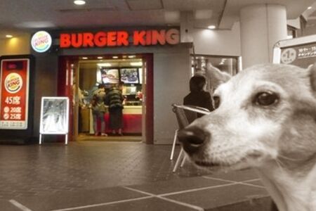 From BK!