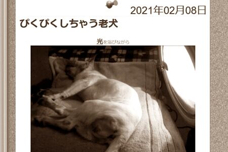 とりあえずやった後はぽかぽか