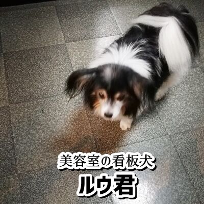 Hey, what's up, dude��