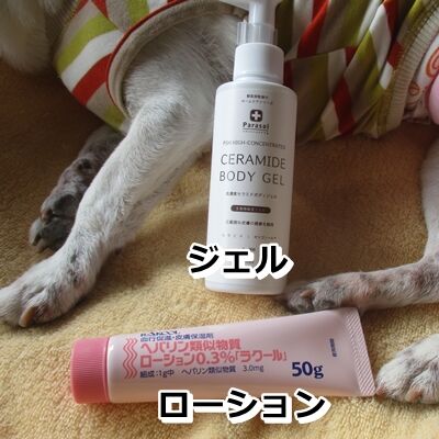 じぇるとろおしょん