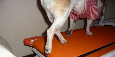 �ۤȤ������Ƥ뤷��