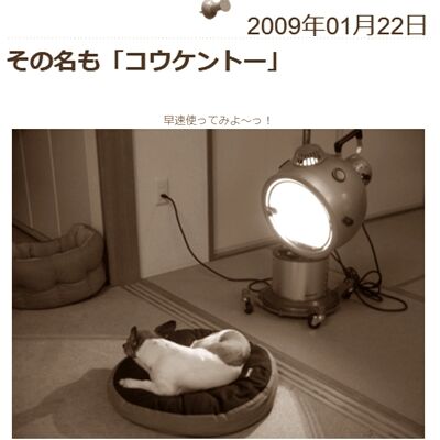 2008年末から使用開始