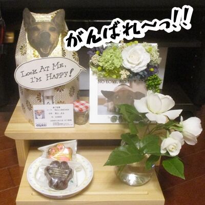 届け〜っ!