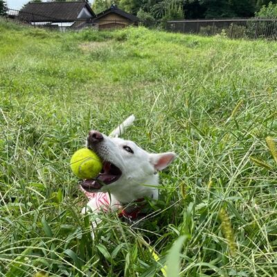 楽しそう〜