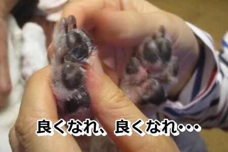 ぬりぬりぬり