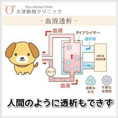 0hanegi06