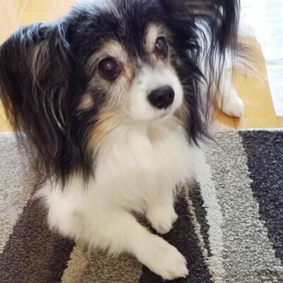 Hey, what's up, buddy?